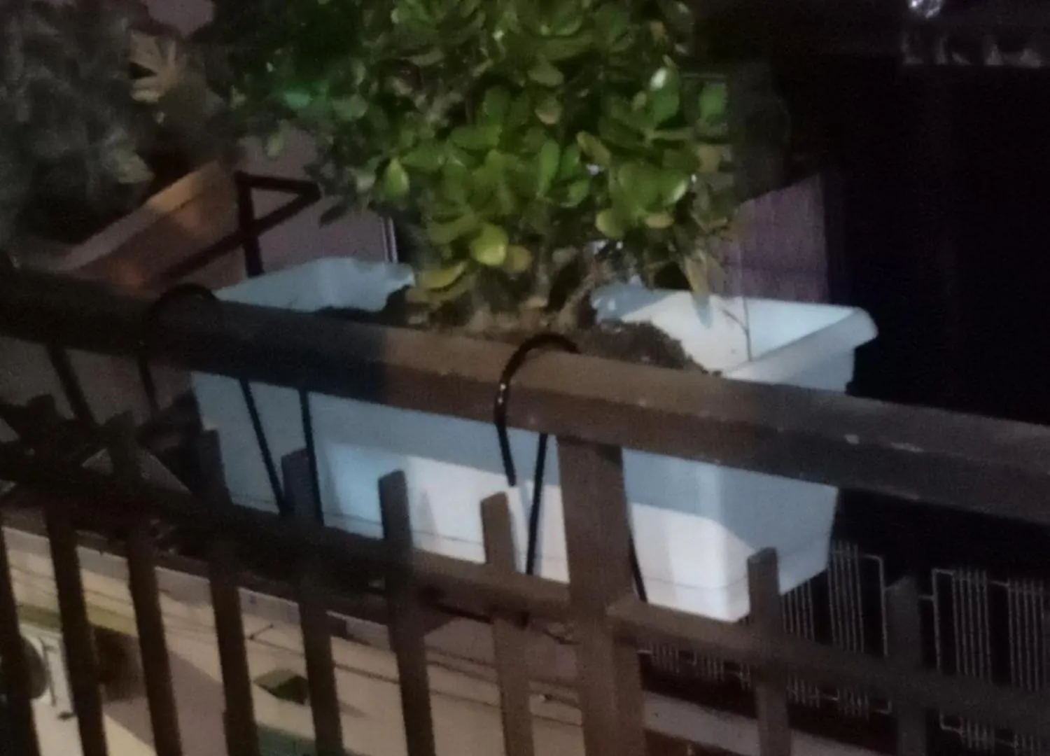 فندق Casa Alice إزولا ديلي فيمين 0*,  إيطاليا